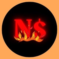 the ns logo with flames on it